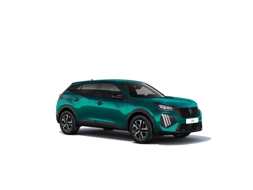 Peugeot 2008 BUSINESS Turbo 100k MAN6